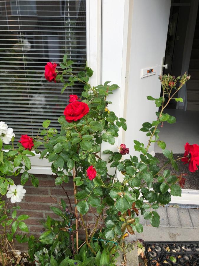 Vakantiewoning In Middelburg Zeeland Exterior foto
